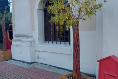 01-6