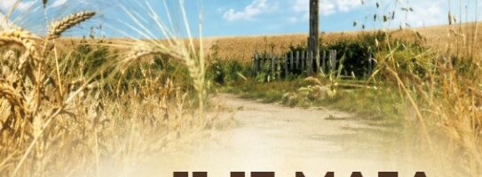 DNI KRZYŻOWE – MODLITWY O DOBRE URODZAJE